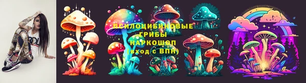 стафф Каменка