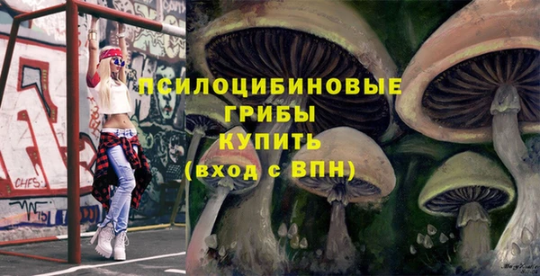 стафф Каменка
