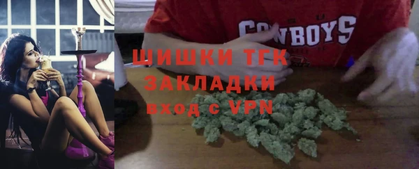 стафф Каменка