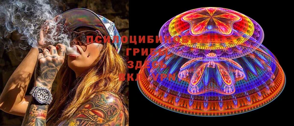 стафф Каменка