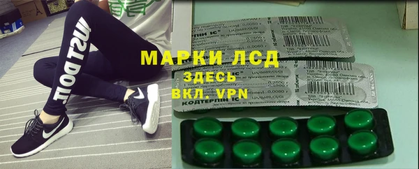 стафф Каменка
