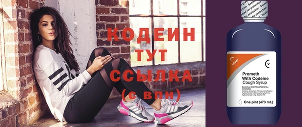стафф Каменка