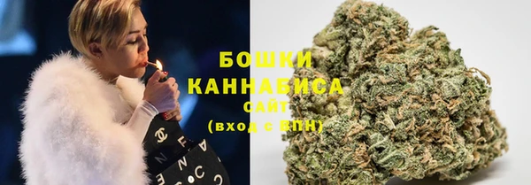 стафф Каменка